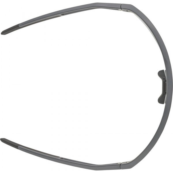 Очки солнцезащитные ALPINA Sonic HR QV