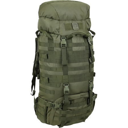 Рюкзак тактический Сплав Raptor 60 олива