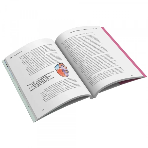 Книга «Молекулы выносливости»