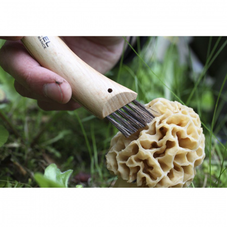 Нож грибника Opinel №8, нержавеющая сталь, рукоять бук, карт. кор.