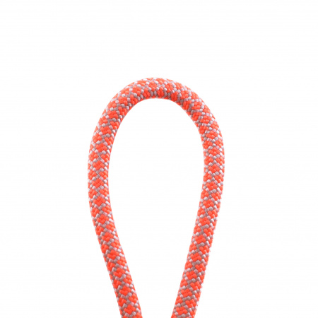 Паракорд 550 T-Gear x CORD nylon 30м