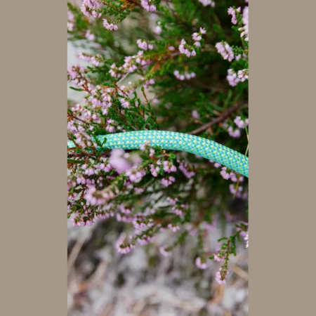 Динамическая веревка Edelrid Eagle Lite Eco Dry 9,5мм 60м