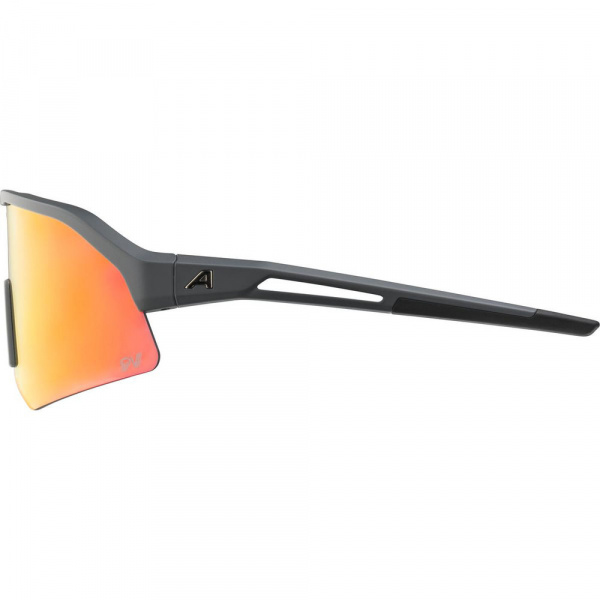 Очки солнцезащитные ALPINA Sonic HR QV