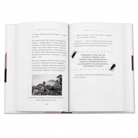 Книга Дмитрий Коринный Пока другие паникуют