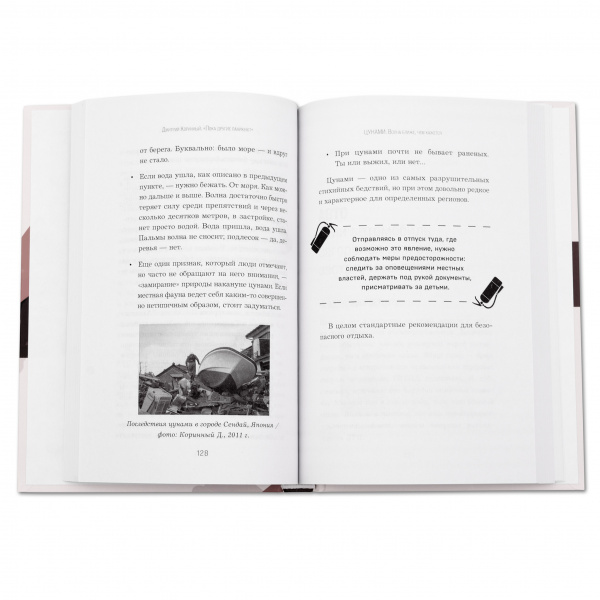 Книга Дмитрий Коринный Пока другие паникуют