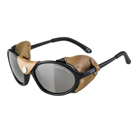 Очки солнцезащитные ALPINA Sibiria Black-Brown/Black Mirror 4
