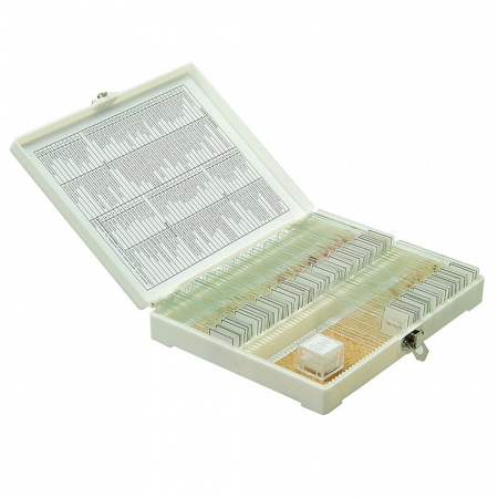 Набор готовых микропрепаратов Микромед №80 Набор готовых микропрепаратов Микромед №80