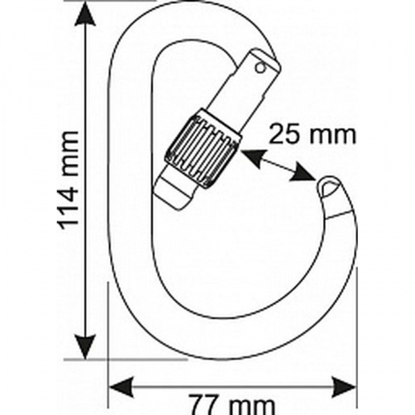 Карабин CAMP CORE LOCK