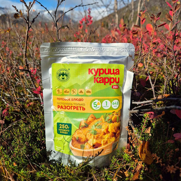 Готовое блюдо Курица карри 250 г. СПЕЦПИТ