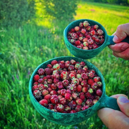 Миска глубокая KUPILKA 33 Junior