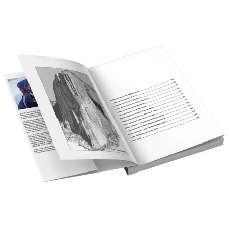 Книга «Психовертикаль» Энди Киркпатрик