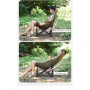 Кресло складное Naturehike Sea star 1 CNK2450JJ020