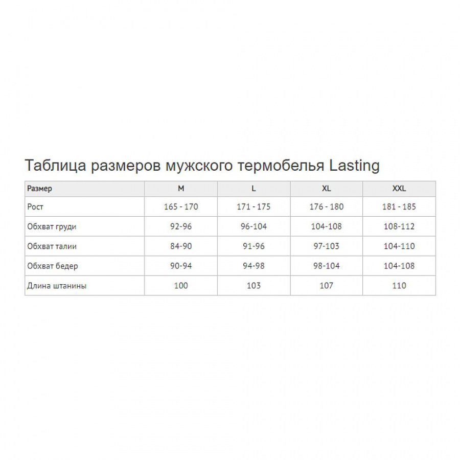 Футболка мужская Lasting Apol