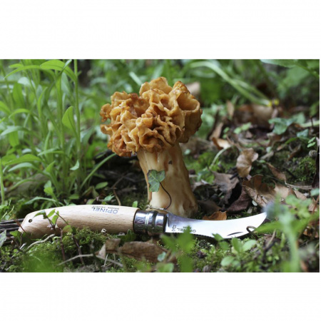 Нож грибника Opinel №8, нержавеющая сталь, рукоять бук, блистер, 1250