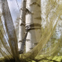 Гамак туристический одноместный с москитной сеткой Mormus Equip Ultralight Hammock Гамак туристический одноместный с москитной сеткой Mormus Equip Ultralight Hammock