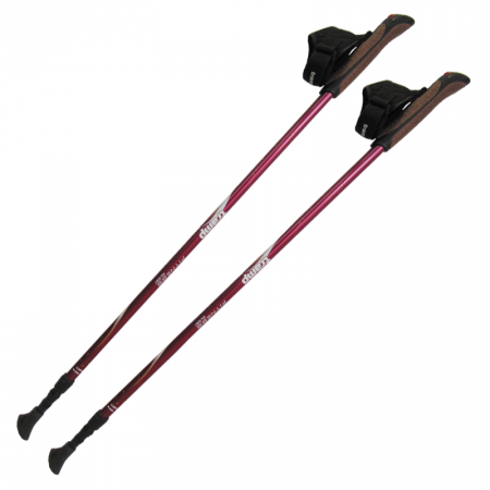 Палки Tramp для скандинавской ходьбы Fitness