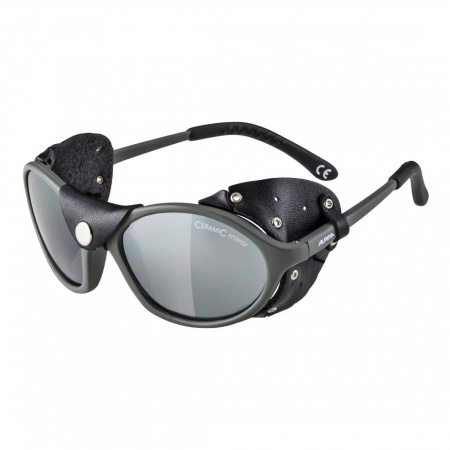 Очки солнцезащитные ALPINA Sibiria Tin Matt-Black/Black Mirror 4