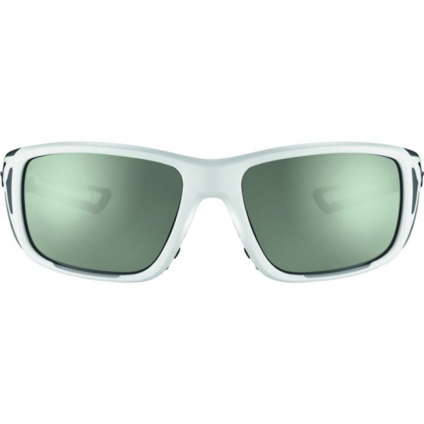 Солнцезащитные очки CEBE PROGUIDE Matt Whaite Black Zone Vario Green Cat.2-4 Silver AF