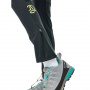 Брюки Ternua Ruthke Pro Tight W Брюки Ternua Ruthke Pro Tight W