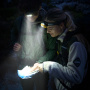 Налобный фонарь Naturehike CNK2300DQ016