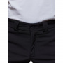 Брюки BASK SFT Nord