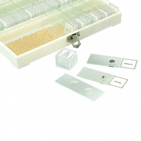 Набор готовых микропрепаратов Микромед №80 Набор готовых микропрепаратов Микромед №80